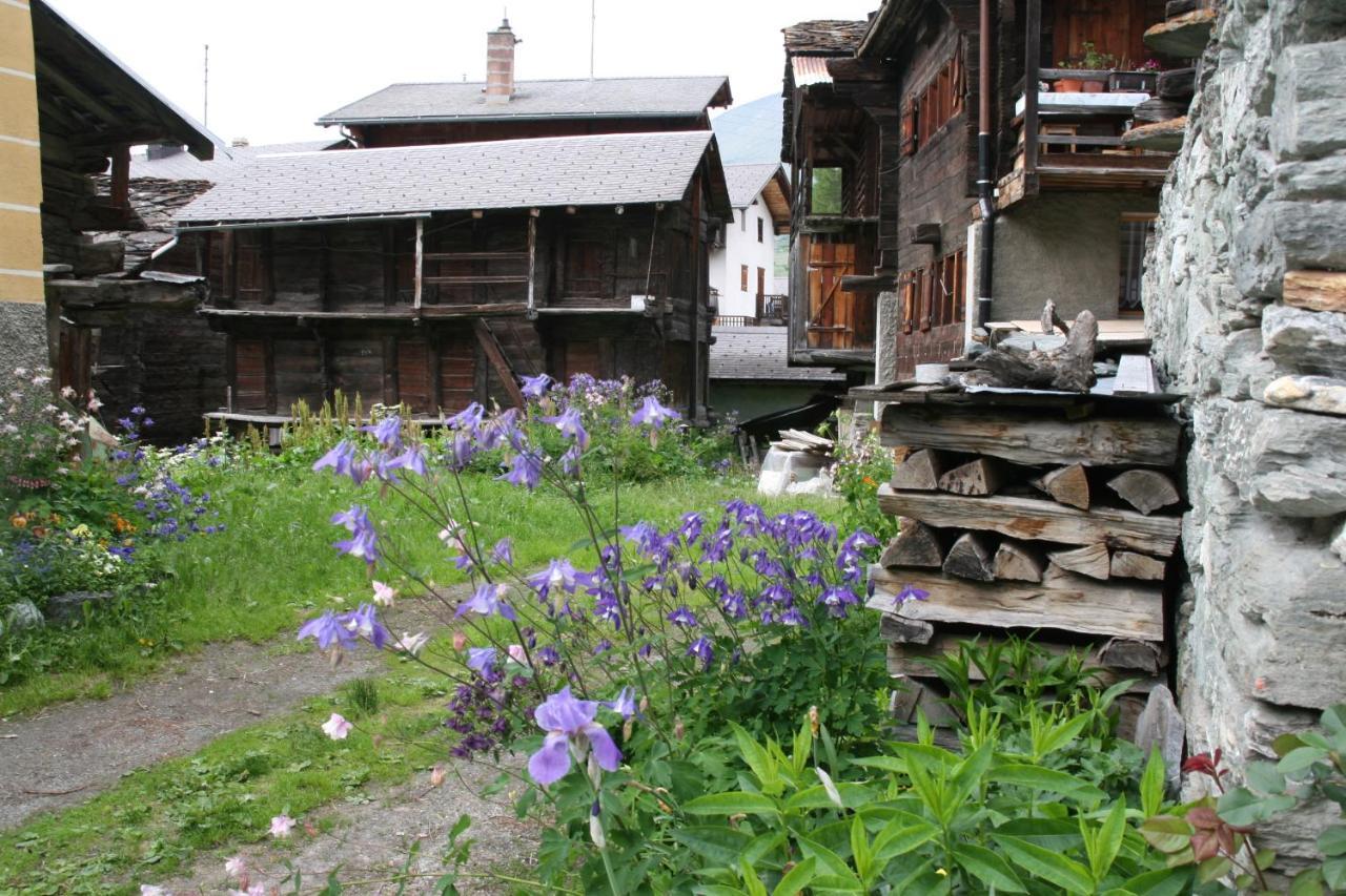 Heerlijke Wandel Of Ski Vakantie In Torgon Portes Du Soleil Exterior photo
