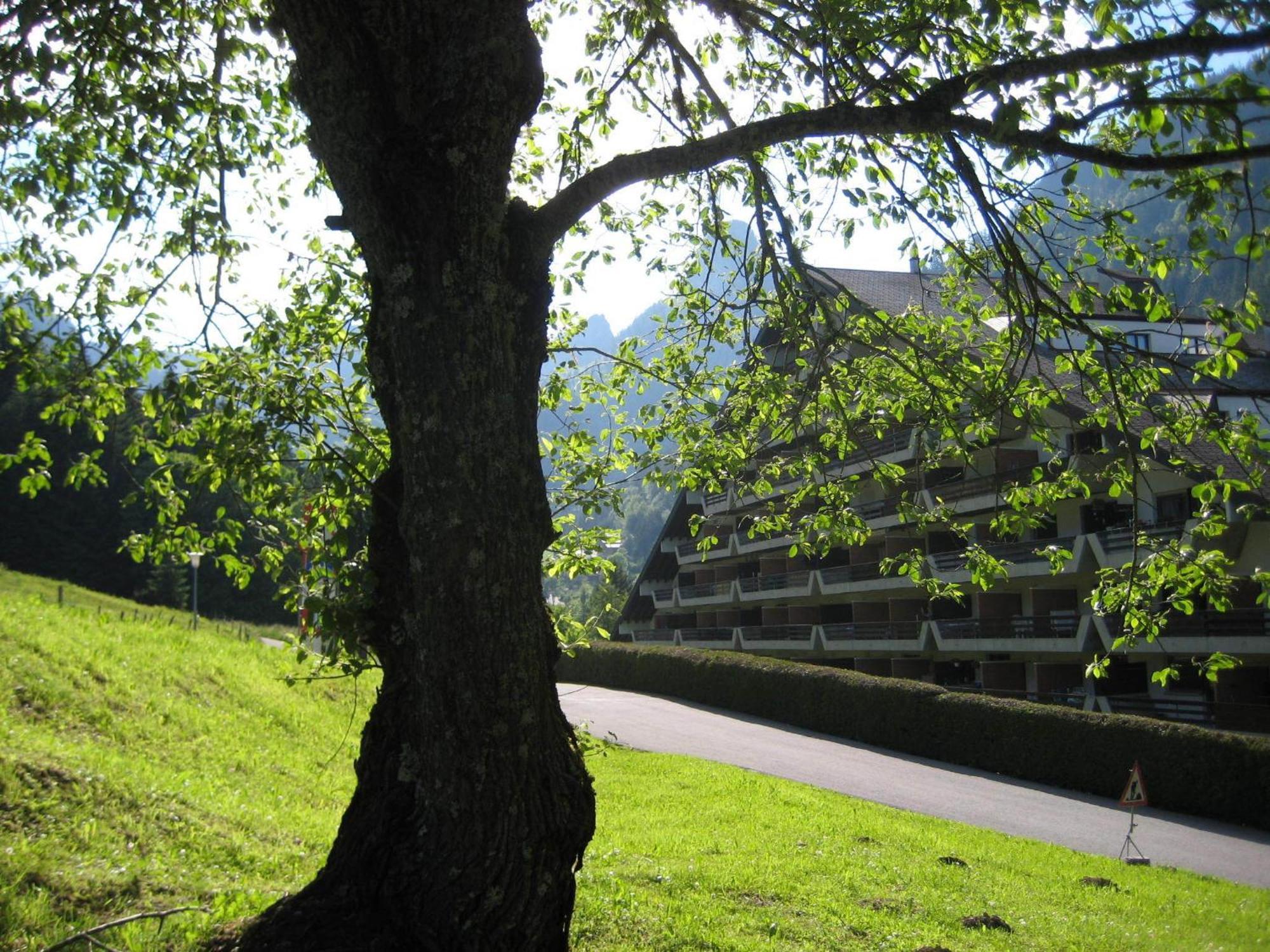 Heerlijke Wandel Of Ski Vakantie In Torgon Portes Du Soleil Exterior photo